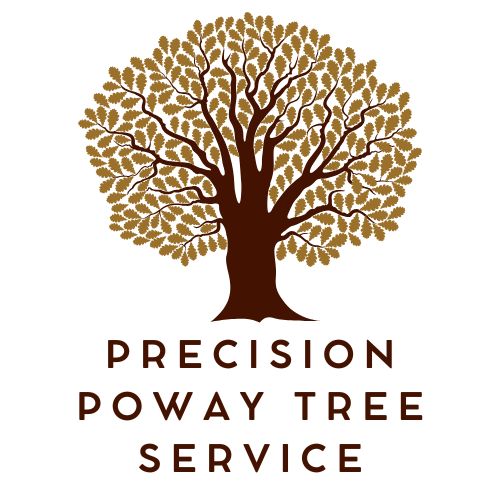 Precision Poway Tree Service logo